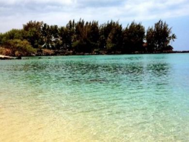 Kohala Coast  Big Island Condo 896218